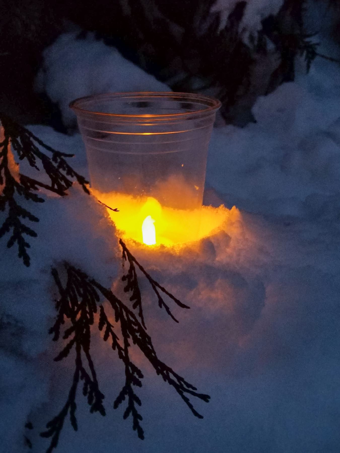 Wild Winter Night Hike Candle