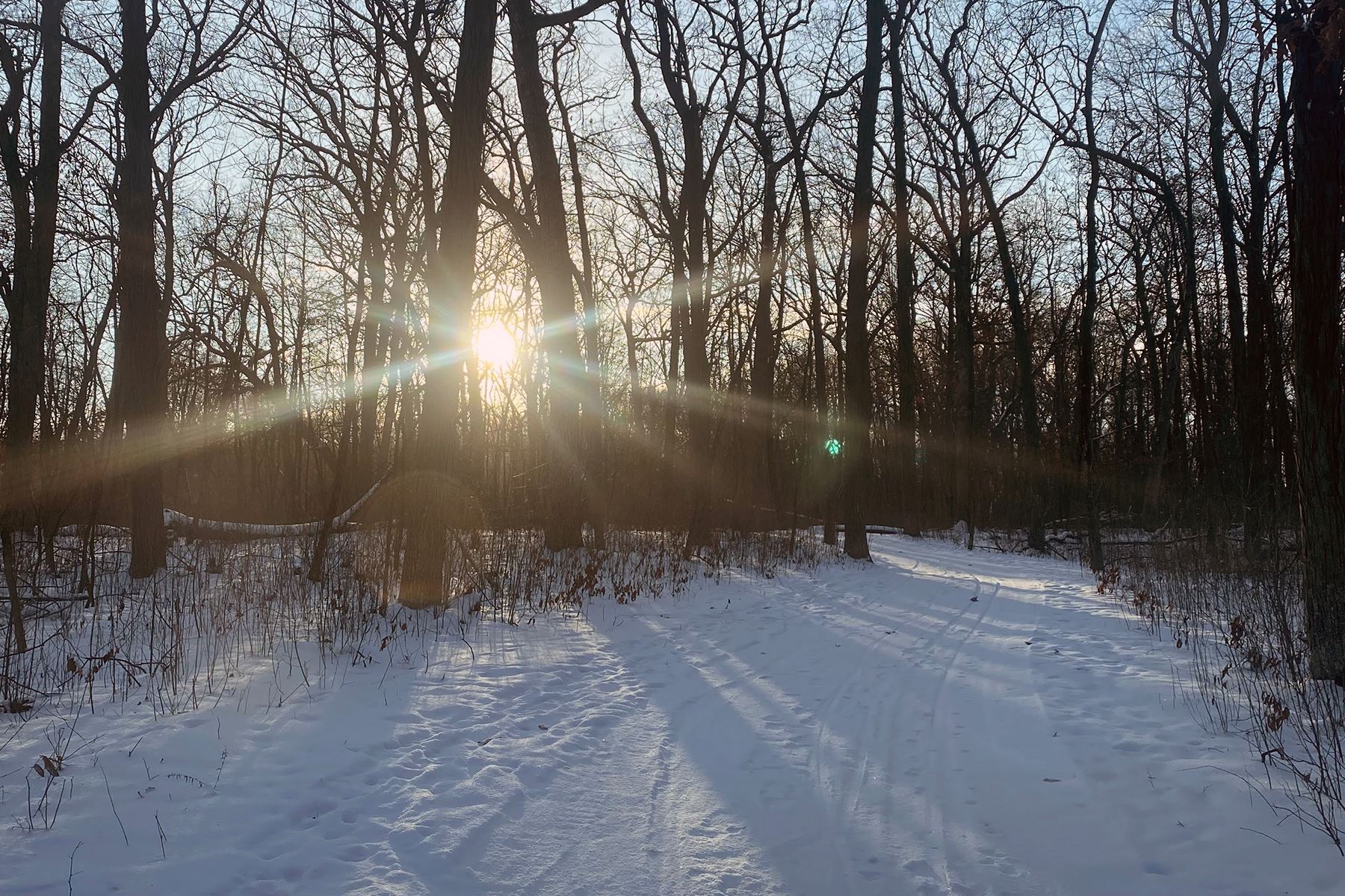 Minooka Park Snowy Trail